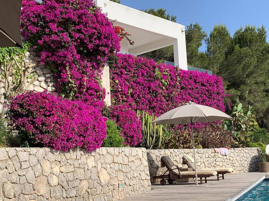 Casa Marlin – image 7